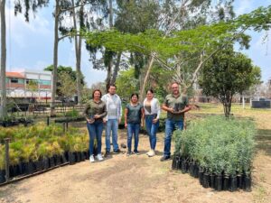 Árboles para reforestar Autlán
