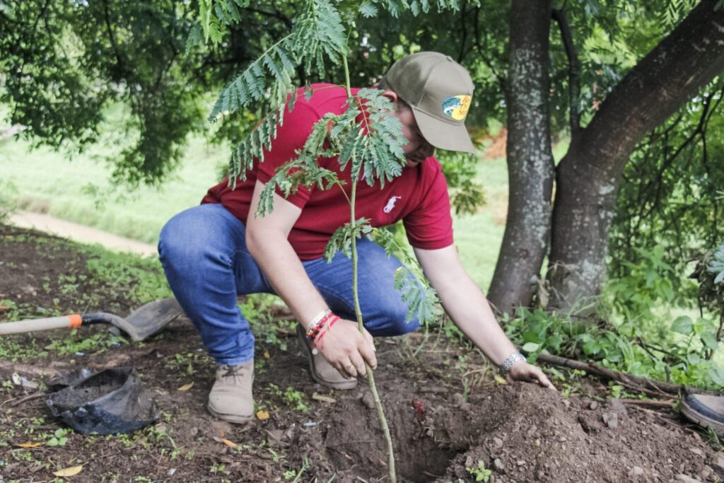 Reforestación Autlán