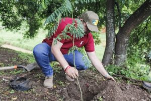 Reforestación Autlán