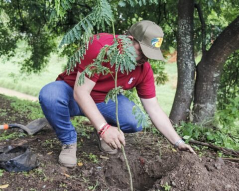 Reforestación Autlán