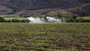 Subsidio para energía eléctrica de uso agrícola