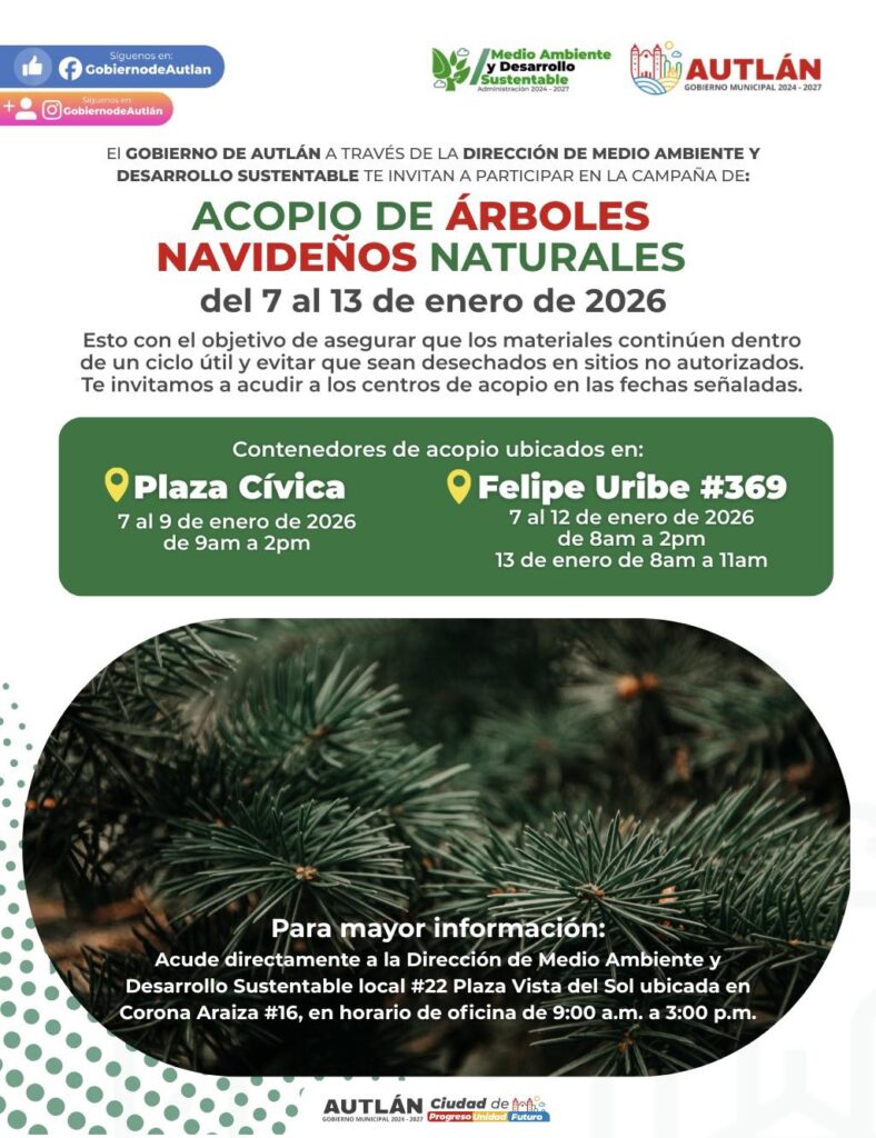 &aacute;rboles