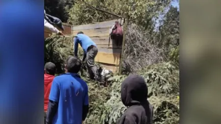 Imágenes: Ejido Huescalapa