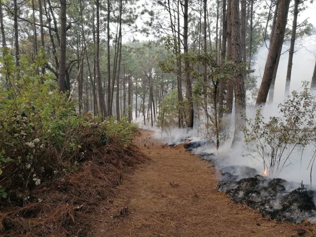 Fuego