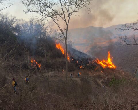 Gobierno de La Huerta