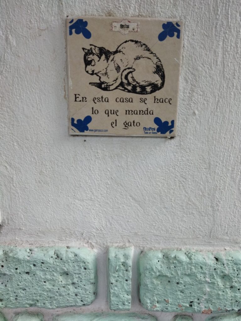 ep&iacute;grafe