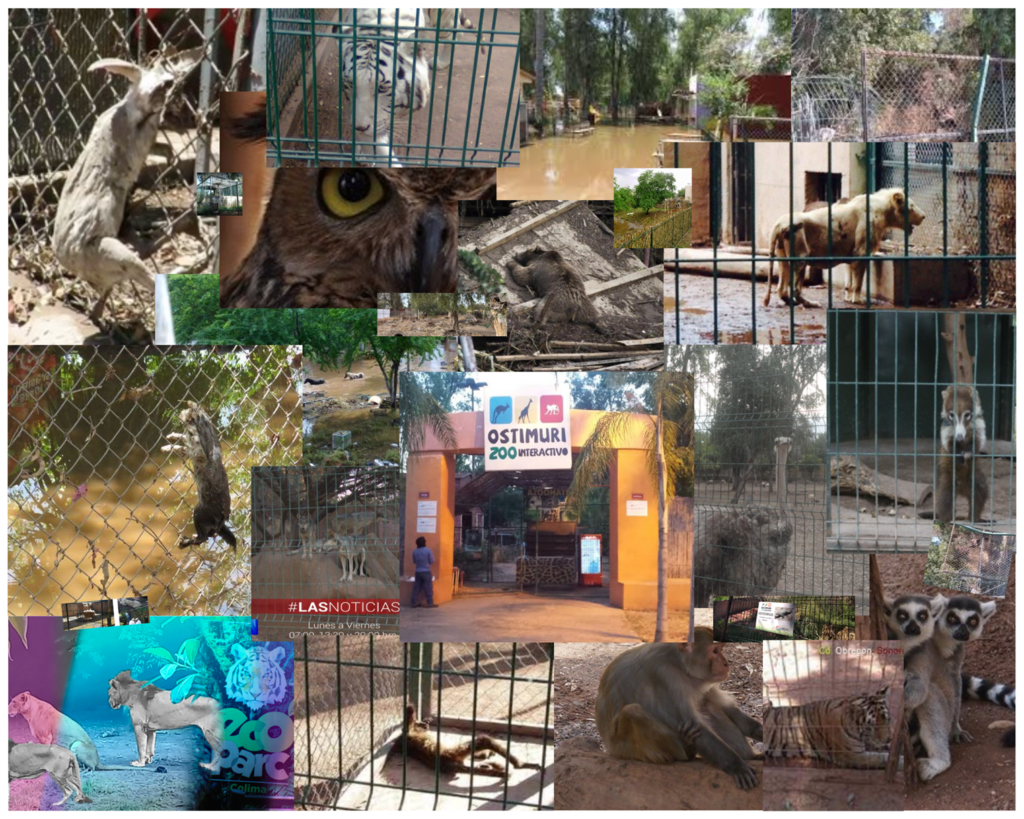 Parque Regional