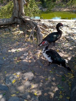 Parque Regional
