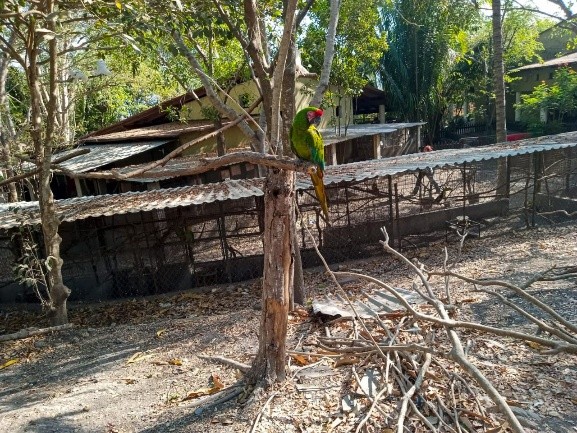 Parque Regional