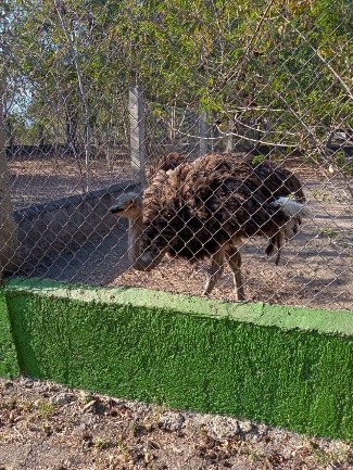 Parque Regional