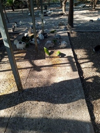 Parque Regional