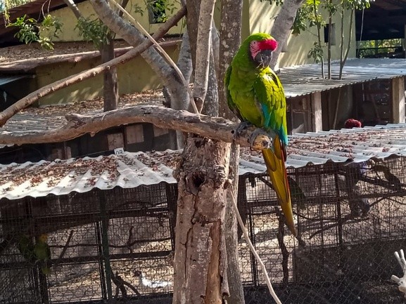 Parque Regional