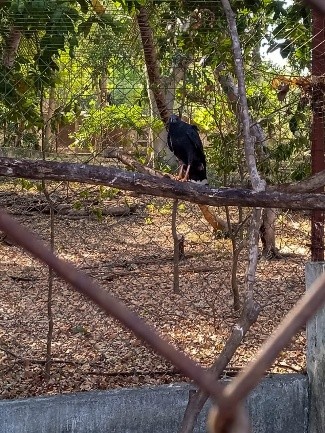 Parque Regional