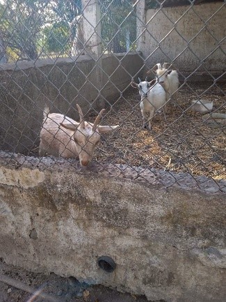 Parque Regional