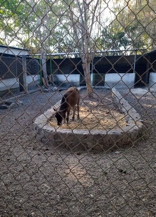 Parque Regional
