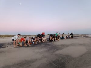 Liberan Tortugas en Chalacatepec