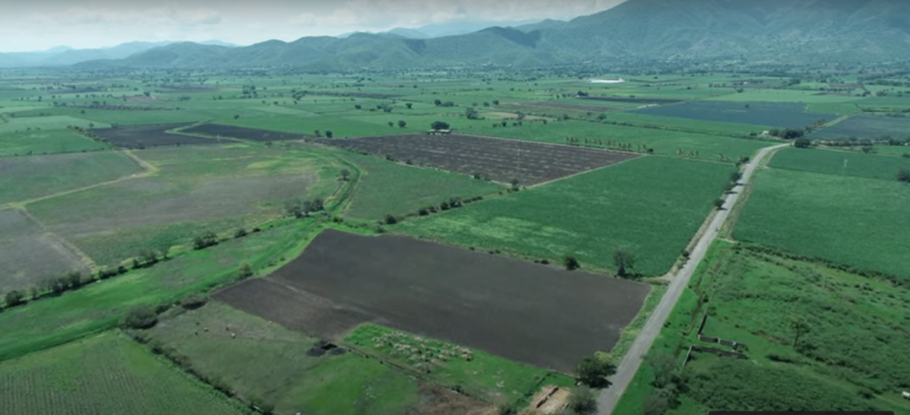 Minidocumentales Voces de la Tierra, Salud y Agroecología