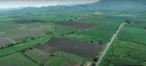 Minidocumentales Voces de la Tierra, Salud y Agroecología