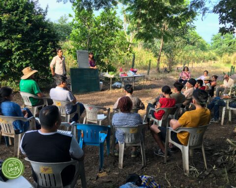 Fotografía: Ecolocos Autlán.