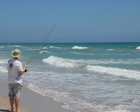 Imagen libre de derechos de autor pixabay