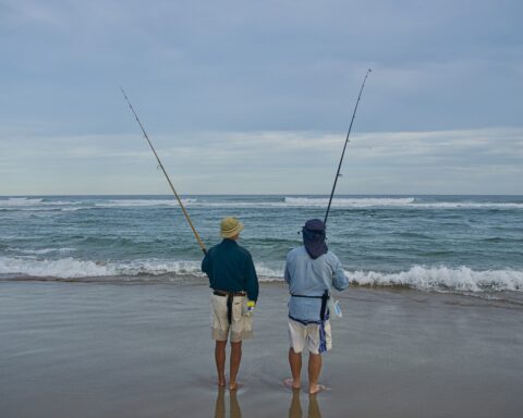 Torneo de pesca.Pixabay