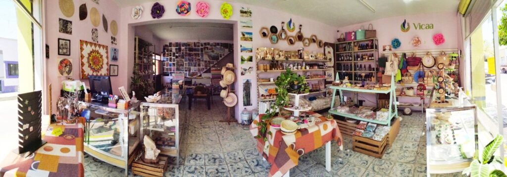 VICAA cerró sus puertas