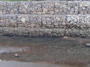 (Fotografía: Cortesía Feliciano Aguirre)