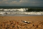 basura playa_ilustrativa