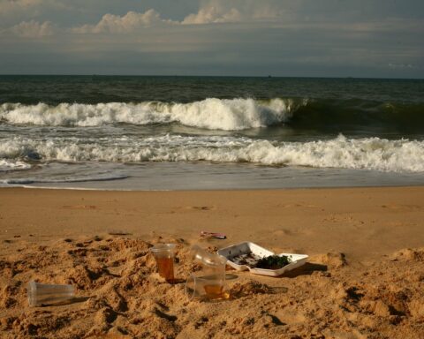 basura playa_ilustrativa