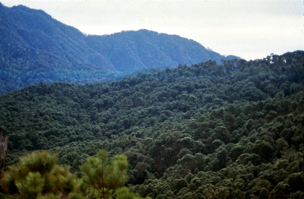 Chiapas
