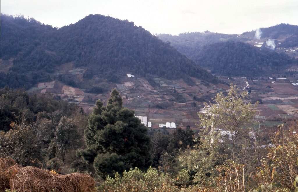 Chiapas