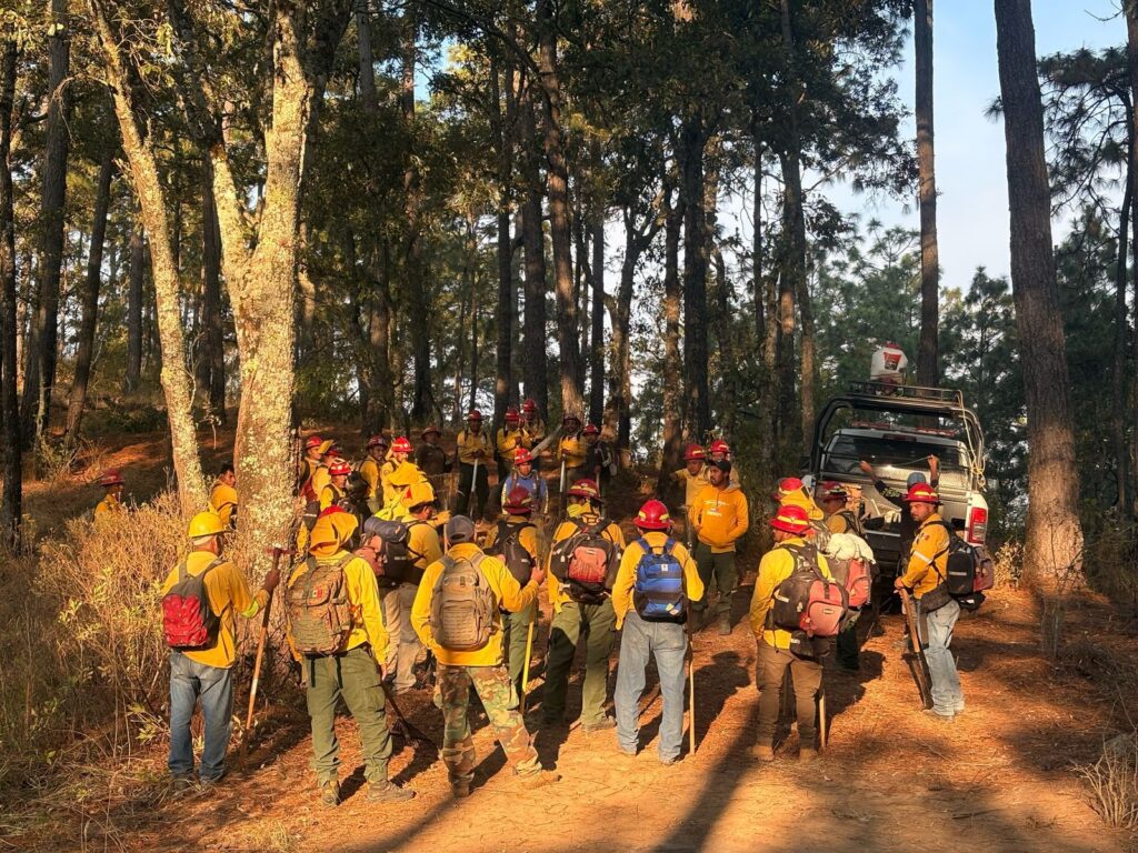 Incendio Tapalpa. Letra Fría