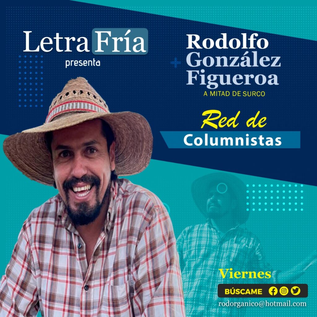 cuantificas