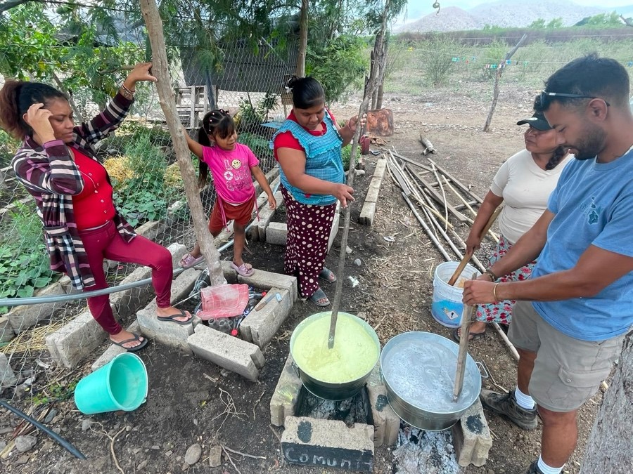 siembra tierra