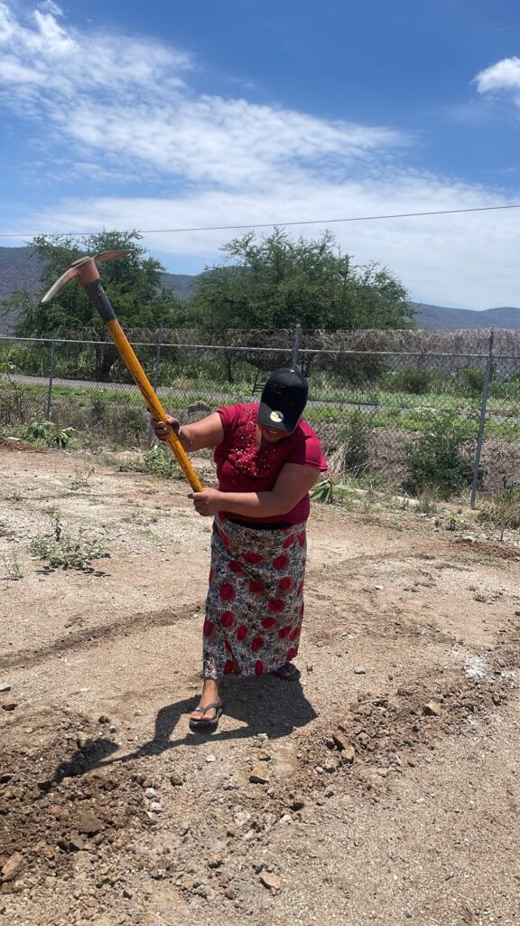 siembra tierra