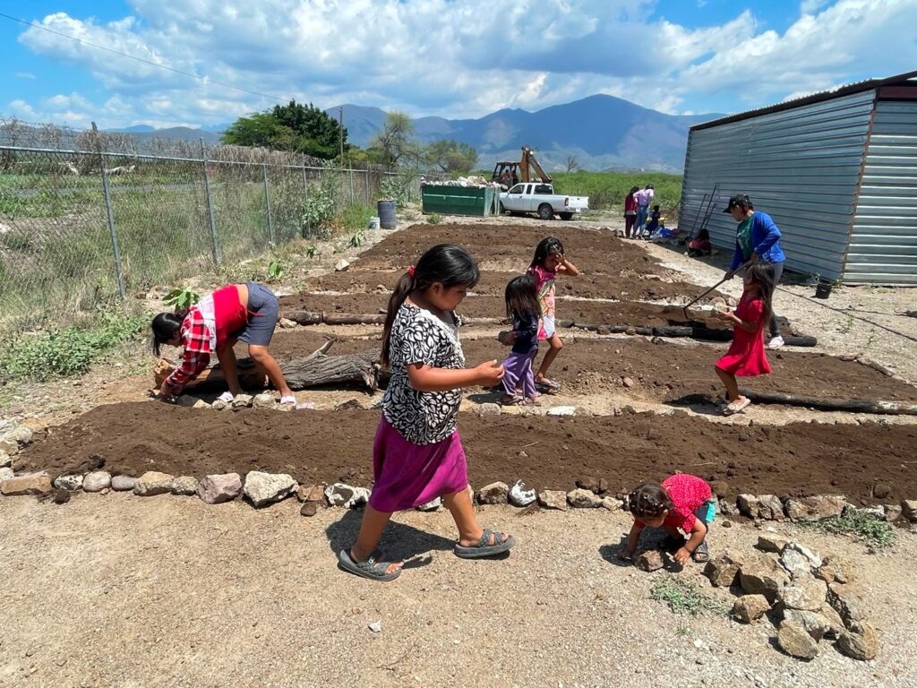 siembra tierra
